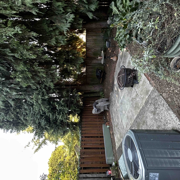 Clean Up Service