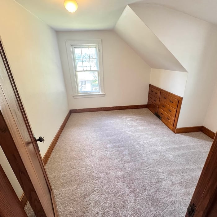 Paint and carpet