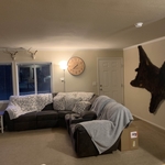 Interior Cleaning