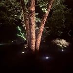 Oakmont lighting