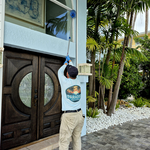 Spider Web Removal