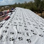 Shingle replacement