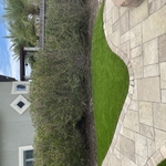 Artificial Turf
