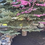 Spring Mulch Refresh