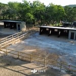 Camp Camp Horse Stalls