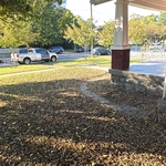 Leaf removal
