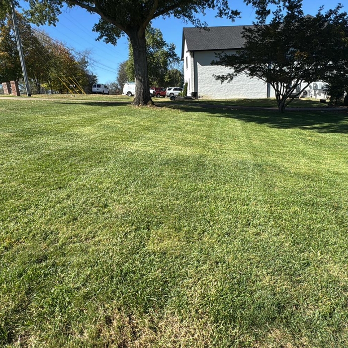 Mowing Services