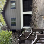 Tree on house