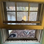 Window cleaning