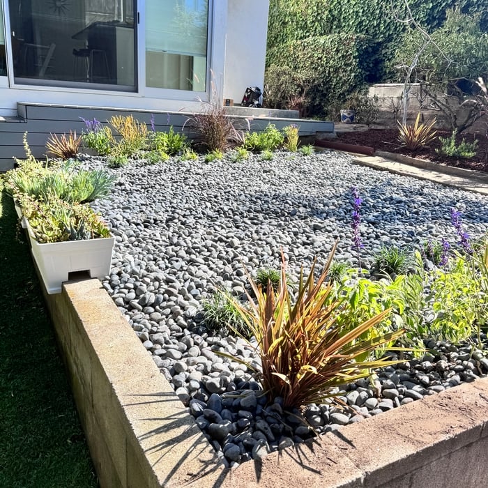 Gravel & Plants