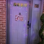 Storm door