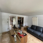 Flooring and painting.