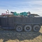 Property cleanout