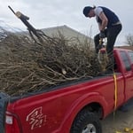 Green waste clean up
