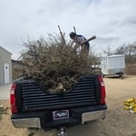 Green waste clean up