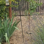 Landscaping Mulch
