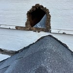 Rodent exclusion