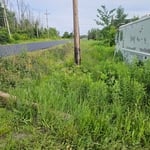 Lawncare