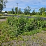Lawncare