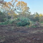 Clearing land