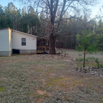 Large unwanted tree