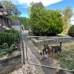 4ft chain link fence
