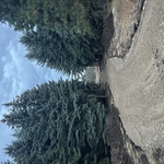 Gravel Driveway