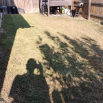 Lawn service