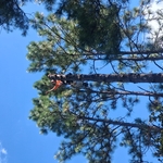 Climbing job.