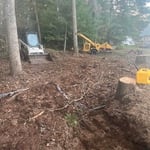 Tree removal Windham