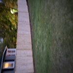 New Britain tree /fence