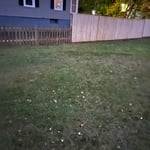 New Britain tree /fence