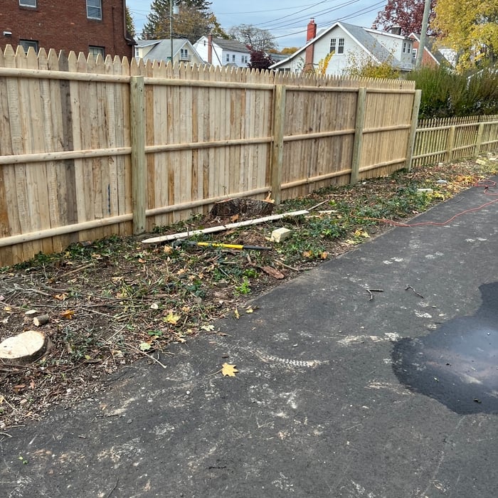 New Britain tree /fence