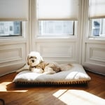 Modern Blinds
