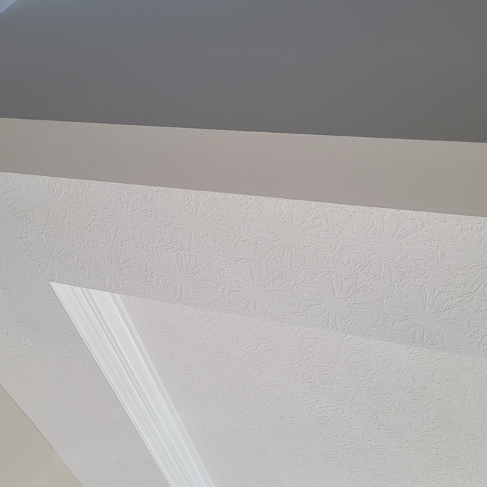 Ceiling Repair and Paint