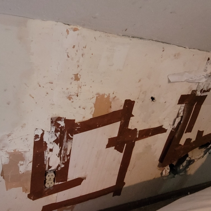 Wall Damage Repair
