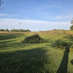 Yard cleanup