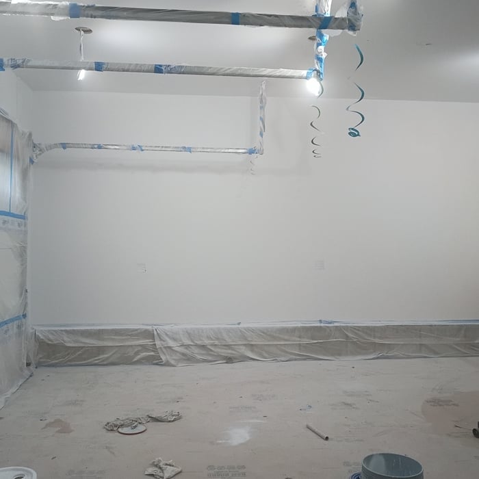 Garage painting