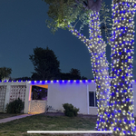 Holliday Lighting Ideas