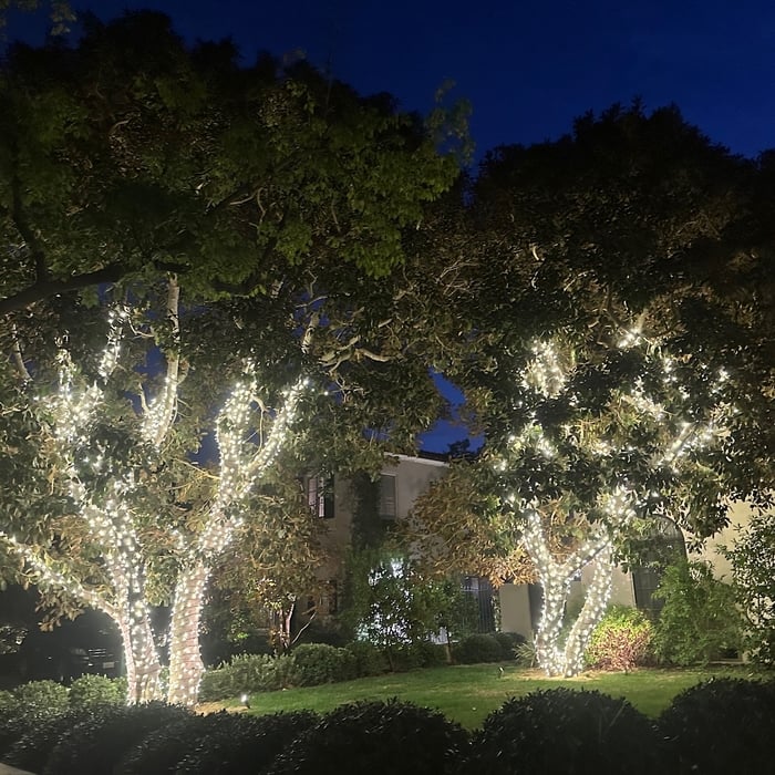 Holliday Lighting Ideas