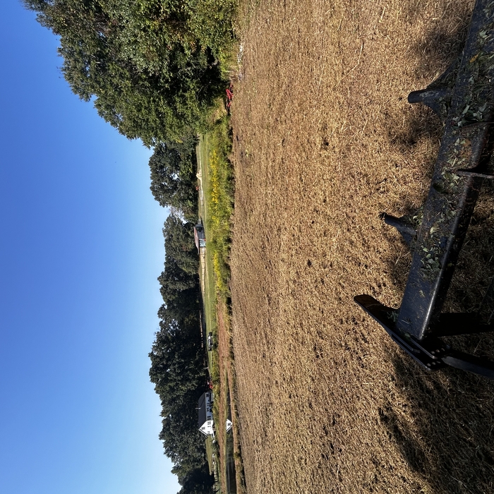 Enjoying the beautiful view from opening this pasture up