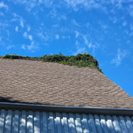 Roof repair