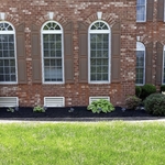 Mulch bed / plant installation