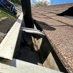 Home Gutter Cleaning