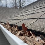 Gutter Cleaning