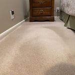 Bluff Park after
