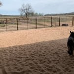 Corral fencing
