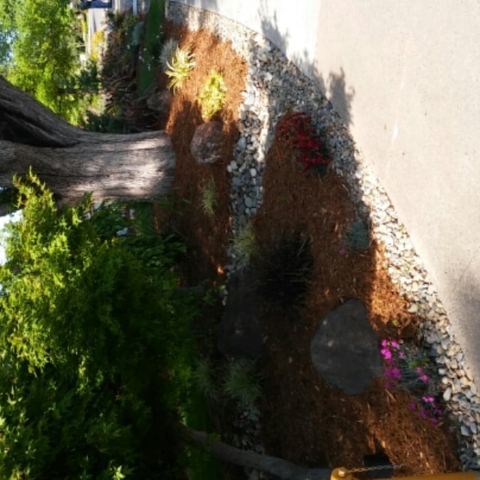 Additional Photos