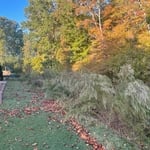 Landscaping - Hardscaping & Pavers Project