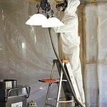 MOLD REMEDIATION